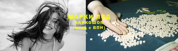 мяу мяу мука Лабытнанги