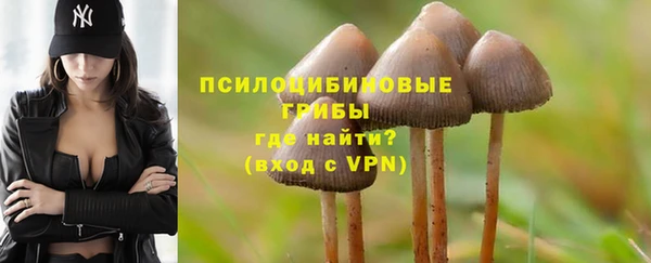гашик Новозыбков