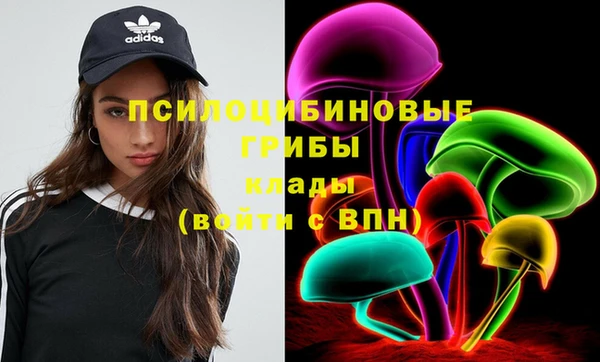 наркотики Новодвинск