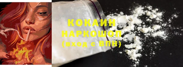 гашик Новозыбков