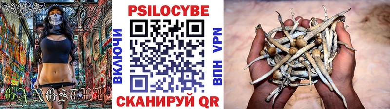 Псилоцибиновые грибы ЛСД  наркота  Фокино 